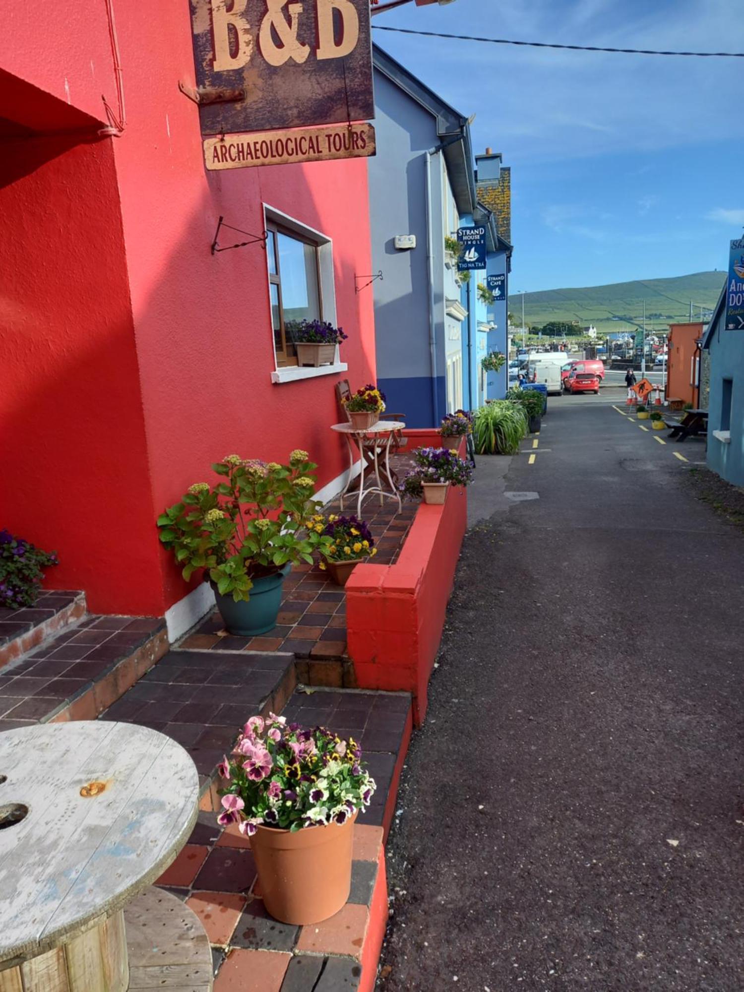 Baywatch Inn Дингл Экстерьер фото